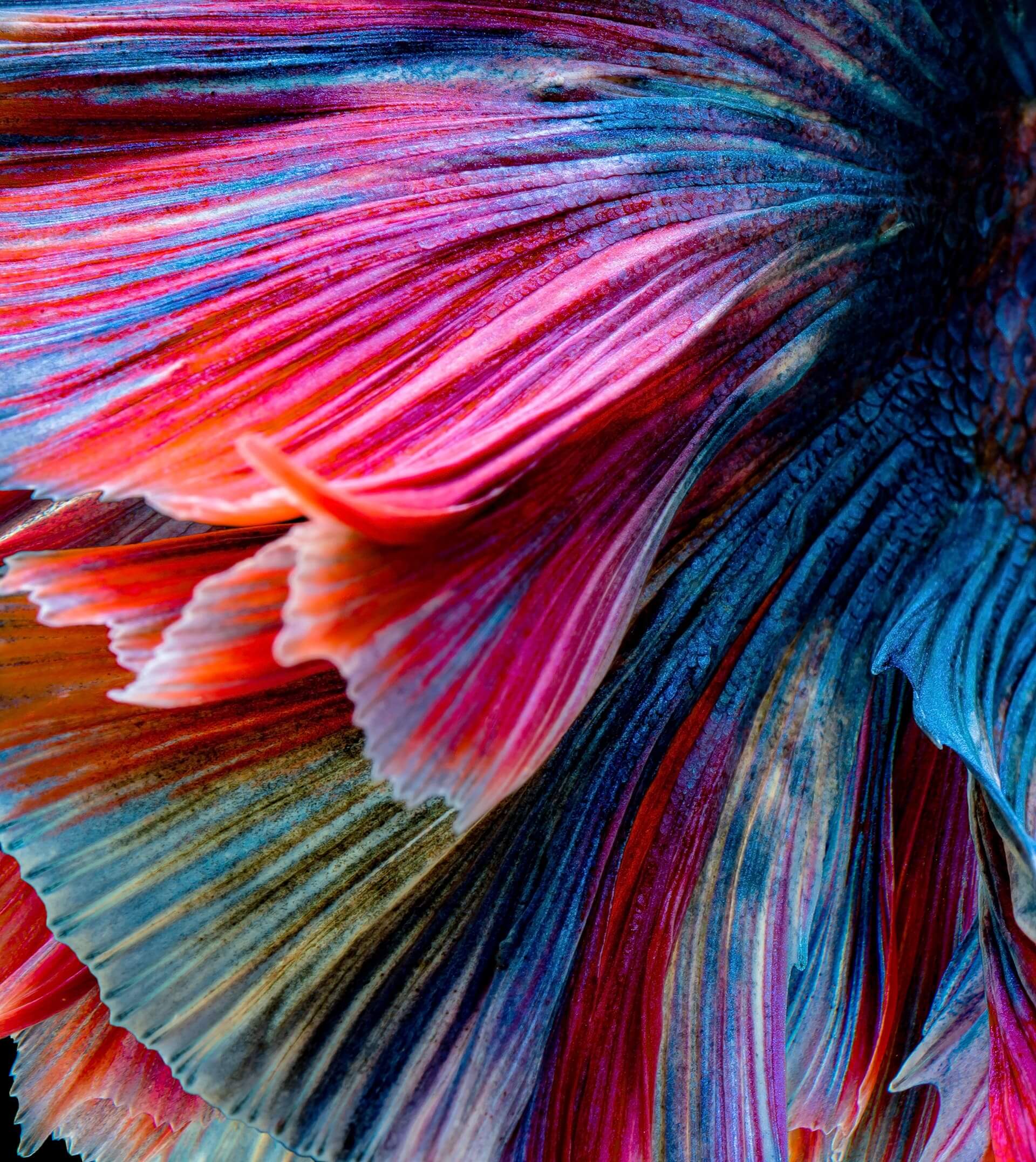 The Impressive World of Photography
